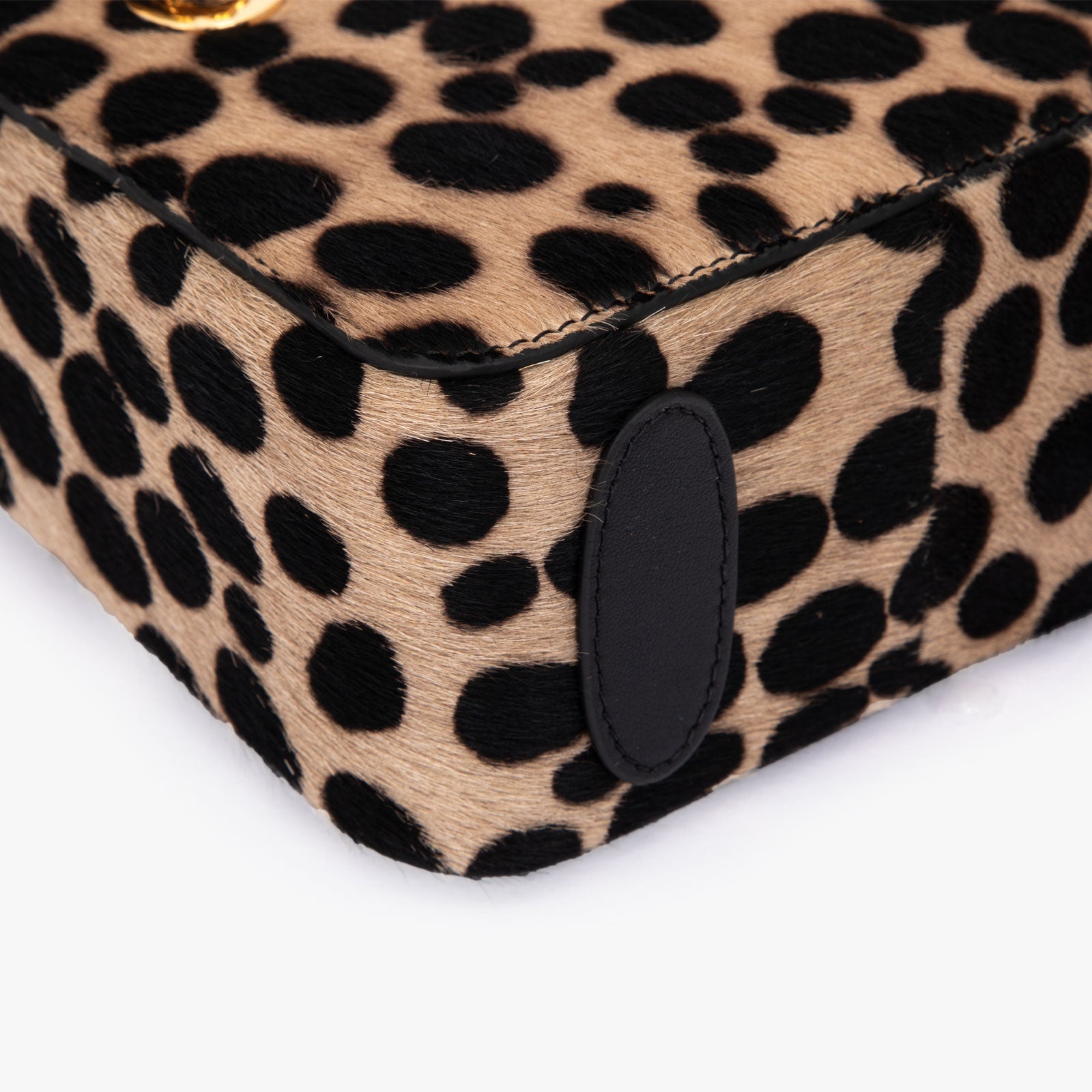 Aieda-tas (paardenhaarstijl)