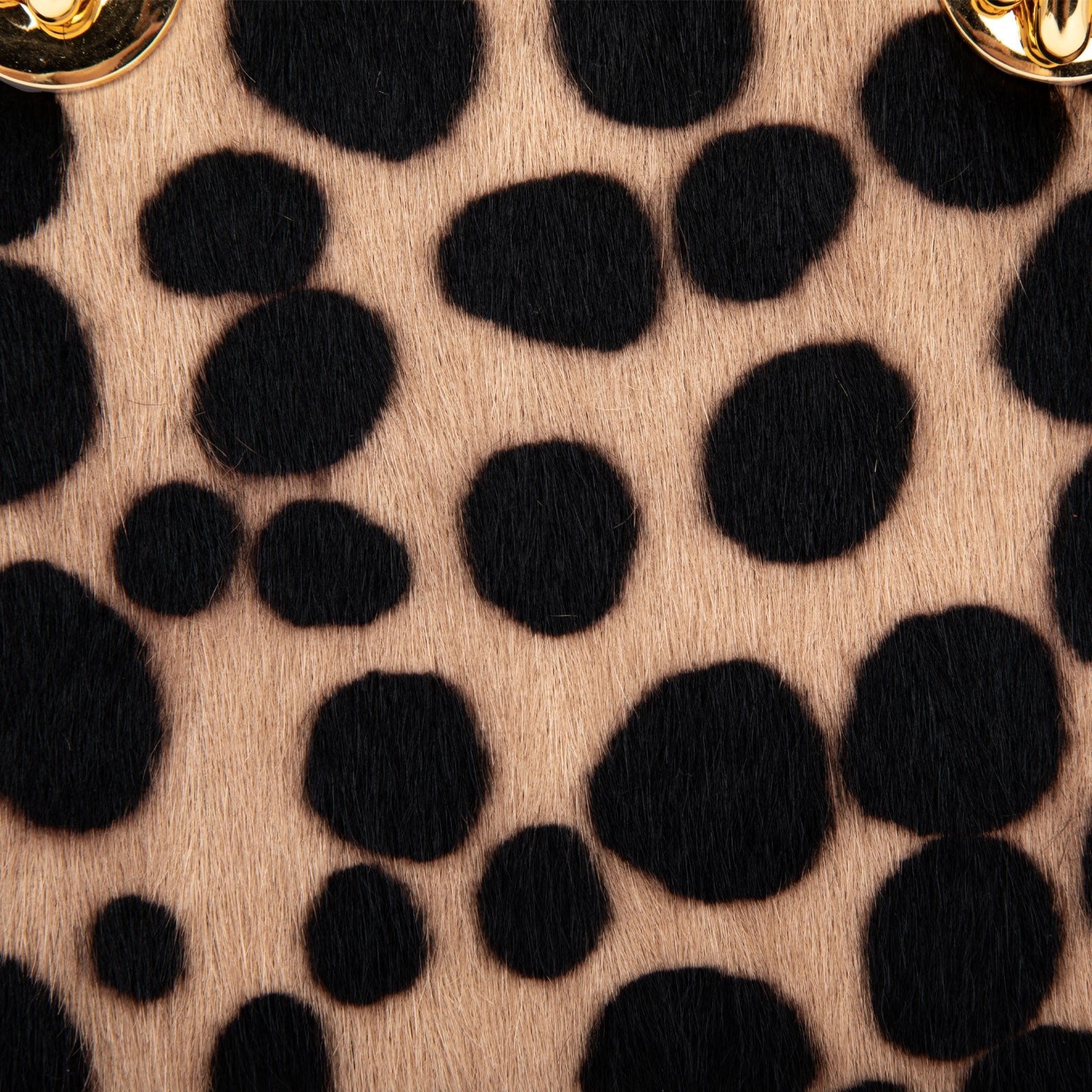 Aieda-tas (paardenhaarstijl)