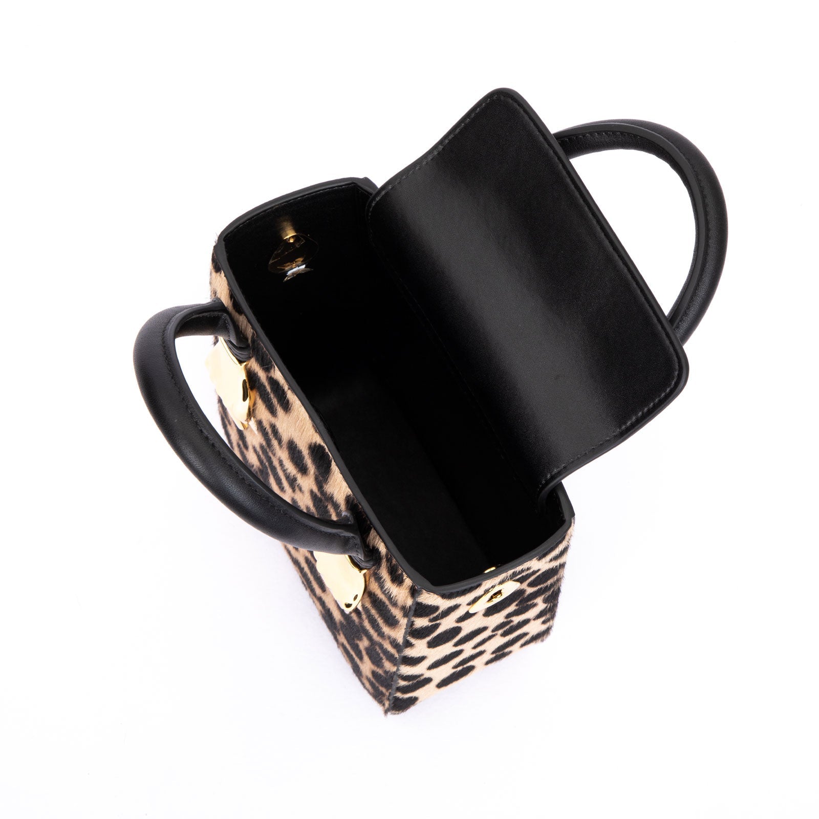 Aieda-tas (paardenhaarstijl)