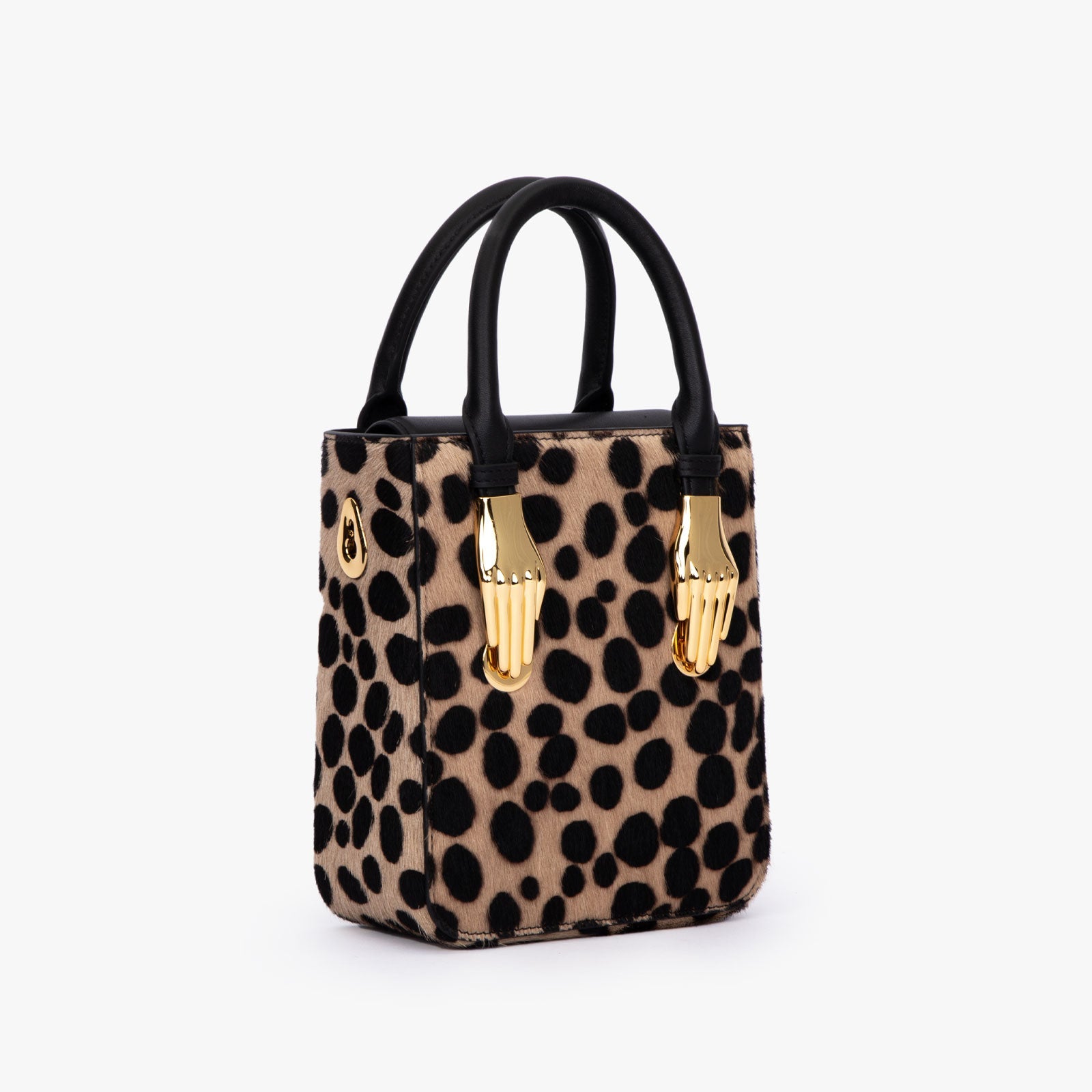 Aieda-tas (paardenhaarstijl)