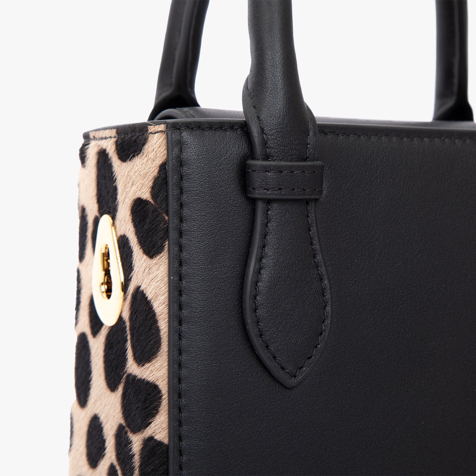 Aieda-tas (paardenhaarstijl)