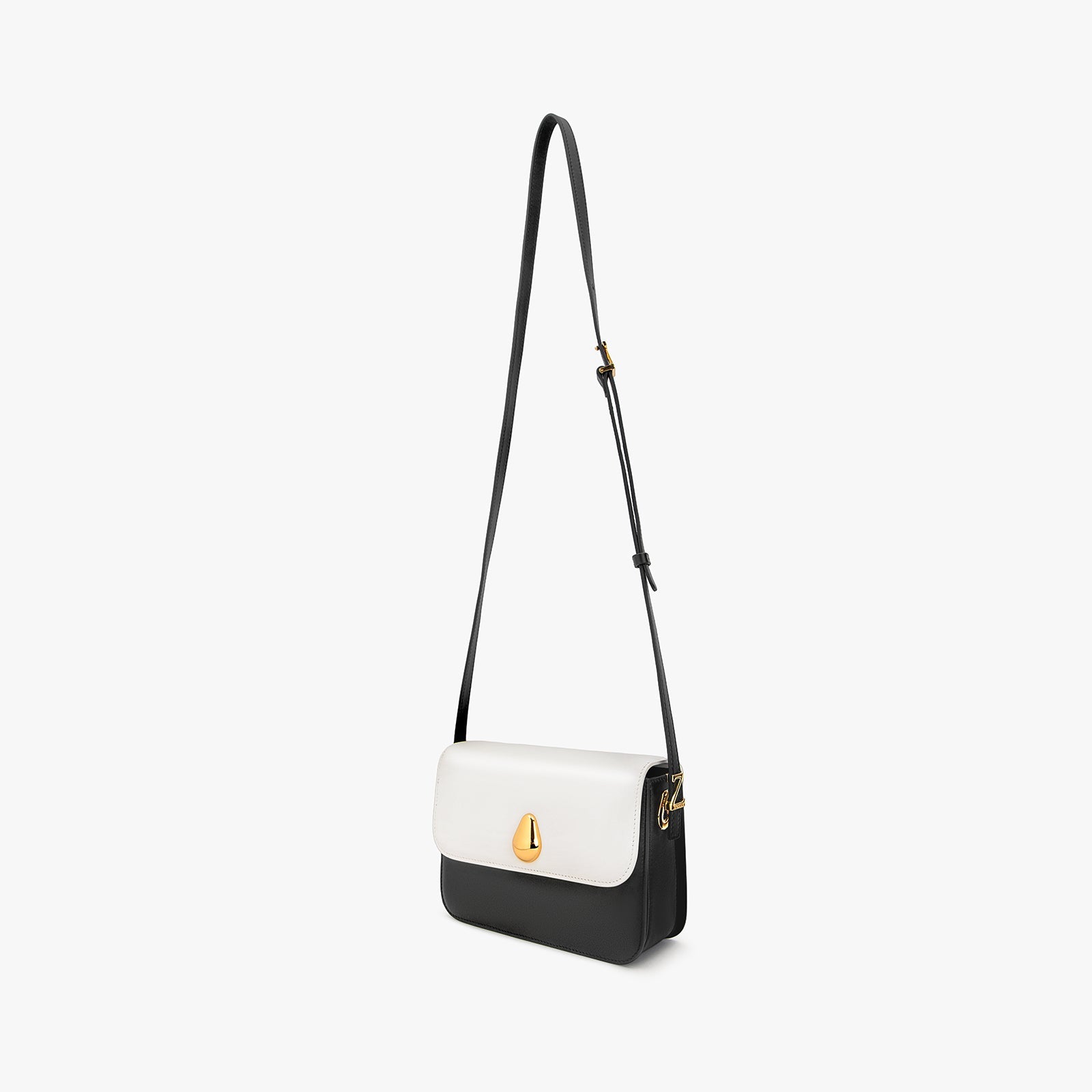 Mini Chameleon Bag