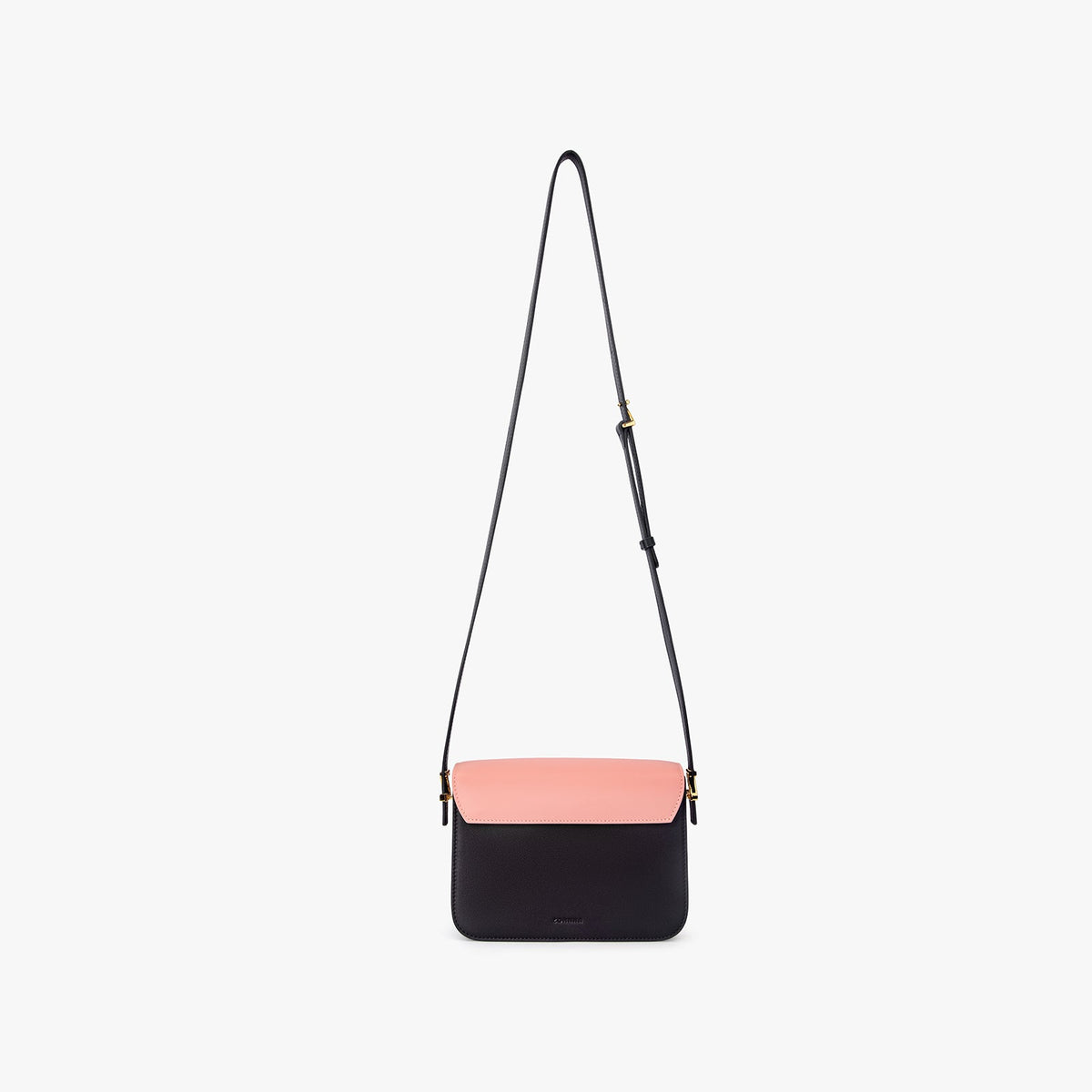 Mini Chameleon Bag