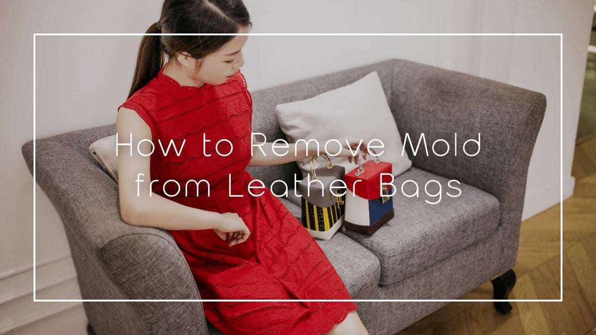 How to Remove Mold from Leather Bags ZORNNA