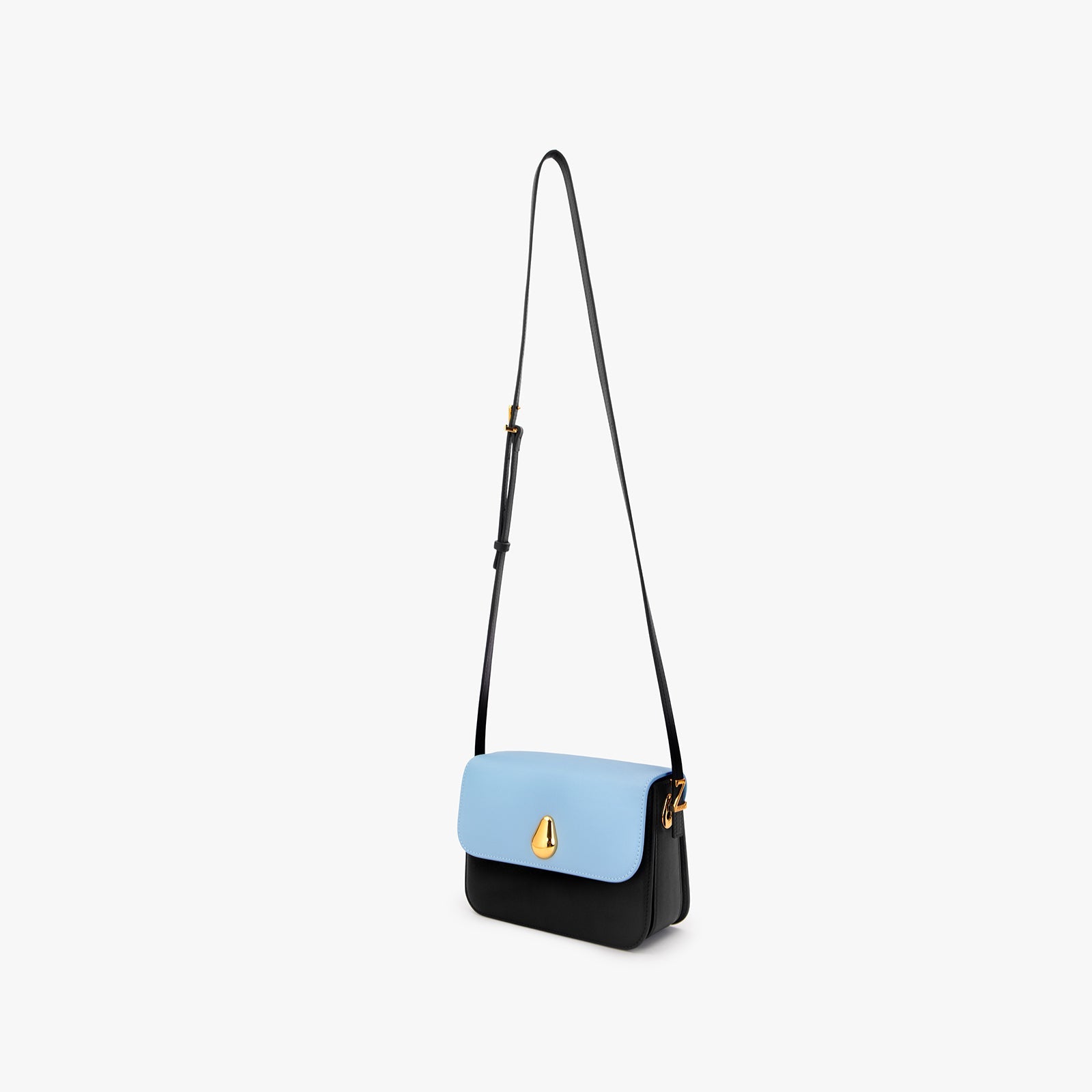 Mini Chameleon Bag